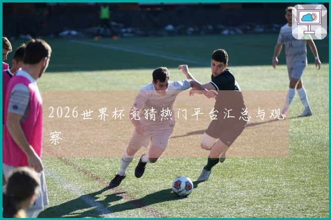 2026世界杯竞猜热门平台汇总与观察