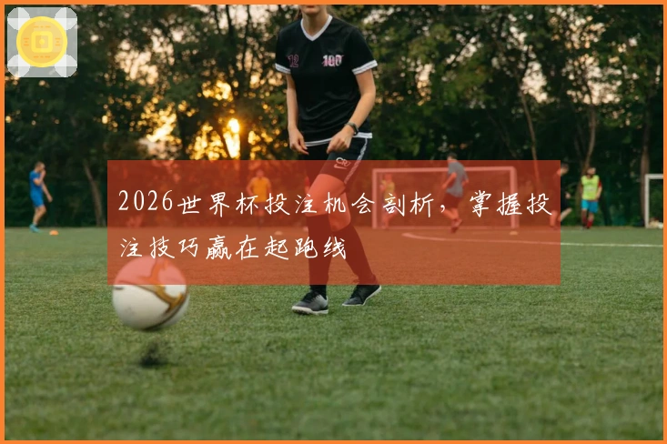 2026世界杯投注机会剖析，掌握投注技巧赢在起跑线