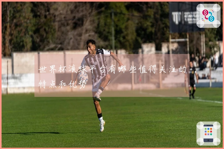 世界杯滚球平台有哪些值得关注的特点和优势