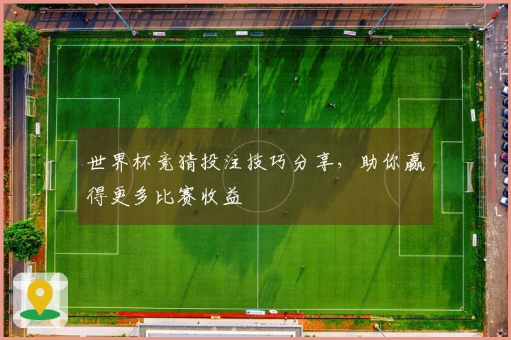 世界杯竞猜投注技巧分享，助你赢得更多比赛收益
