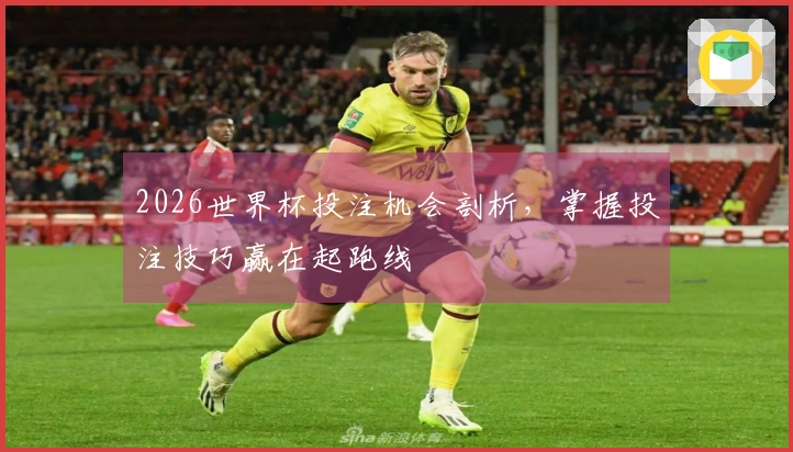 2026世界杯投注机会剖析，掌握投注技巧赢在起跑线