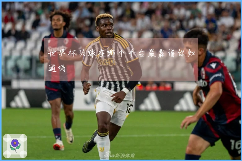 世界杯买球在哪个平台最靠谱你知道吗