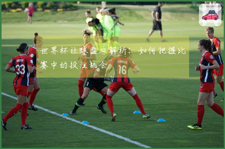 世界杯让球盘口解析：如何把握比赛中的投注机会