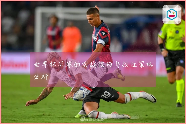 世界杯买球的实战技巧与投注策略分析