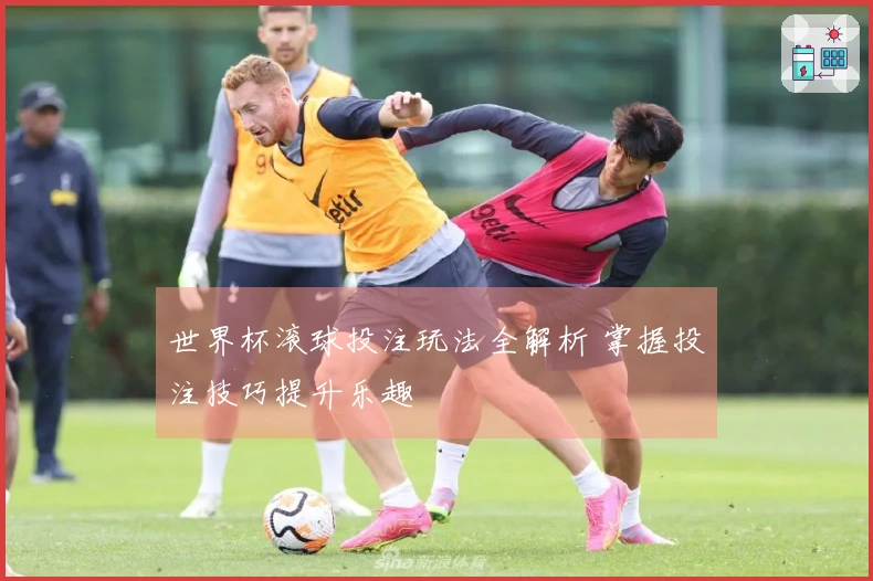 世界杯滚球投注玩法全解析 掌握投注技巧提升乐趣