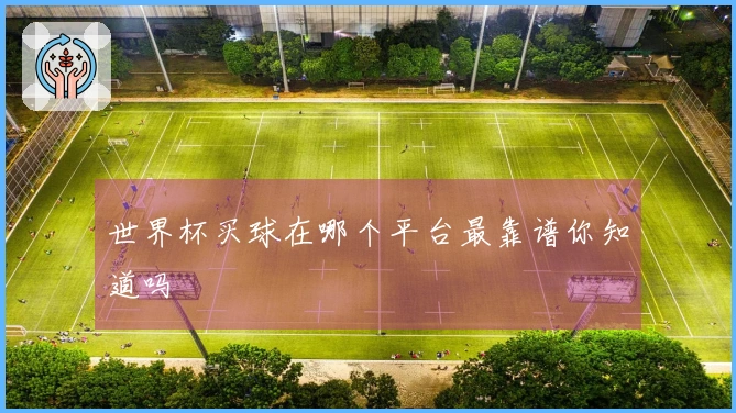 世界杯买球在哪个平台最靠谱你知道吗