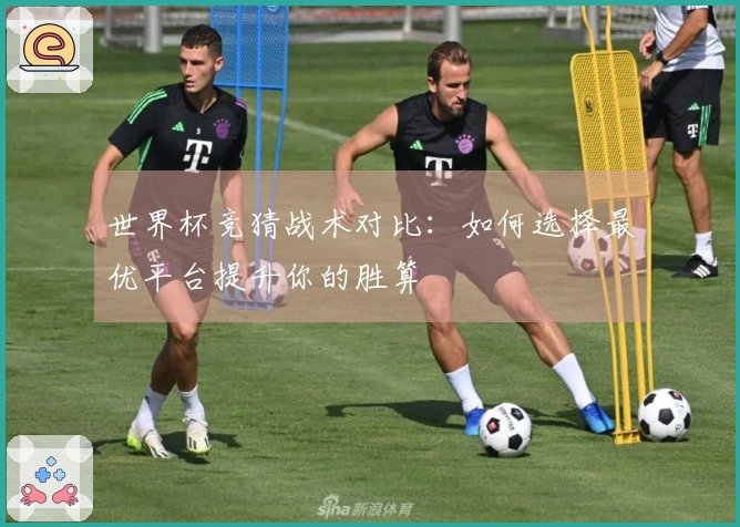 世界杯竞猜战术对比：如何选择最优平台提升你的胜算